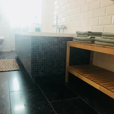 Apartment B21a